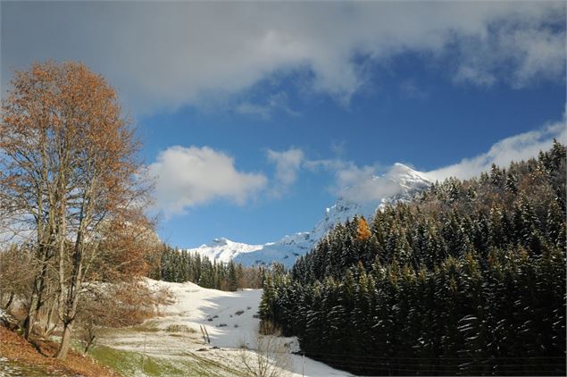 La Rosière-Samoëns - OT Samoëns (photothèque)