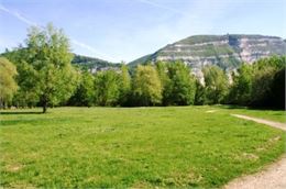 Bois de Vernaz_Prairie