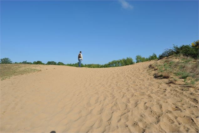 Dunes de sable continentales - Anthony Joubert-Laurencin