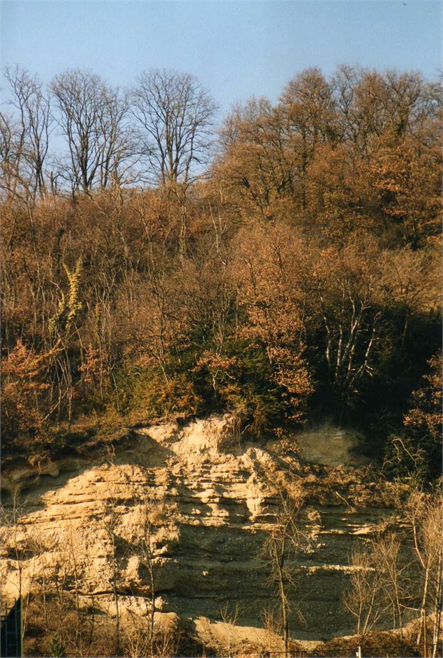 Costière du Bois de Laie - Office de Tourisme de la CCMP