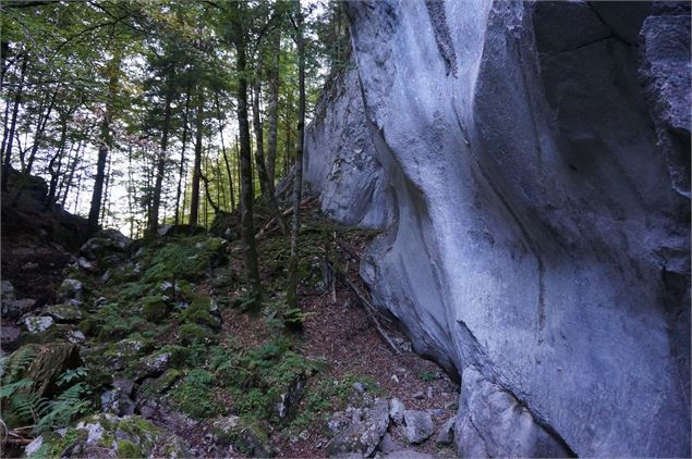 Gorges des Tines - © Laurent Vriez