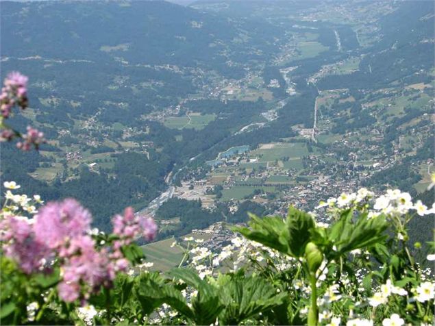 Point de vue de la Dent de Verreu - http://gite-du-verney.fr/photosregiongrandes.html