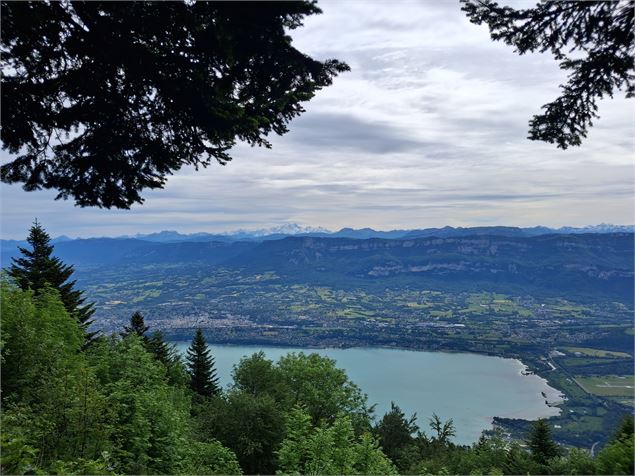 Belvédère du Mont-du-Chat - Grand Lac