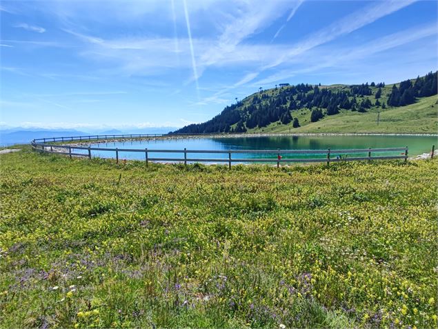 Retenue d'eau vue sur les Alpes - Anne-Marie Barbe