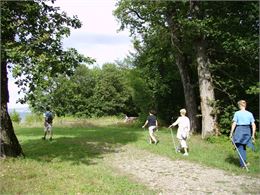 Marche dans la forêt de Ripaille