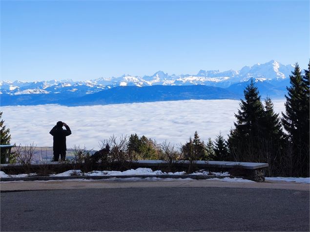 Vue du Pailly sur la chaîne des Alpes et mer de nuages - Anne-Marie Barbe