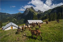 Panorama depuis Pré Richard - A.Berger - SIAC