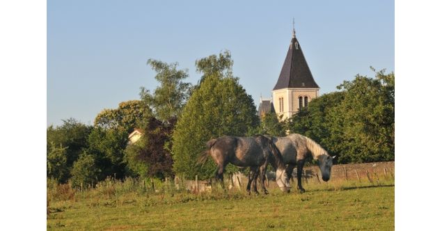 Chevaux Dompierre - Crédit_C.THieux