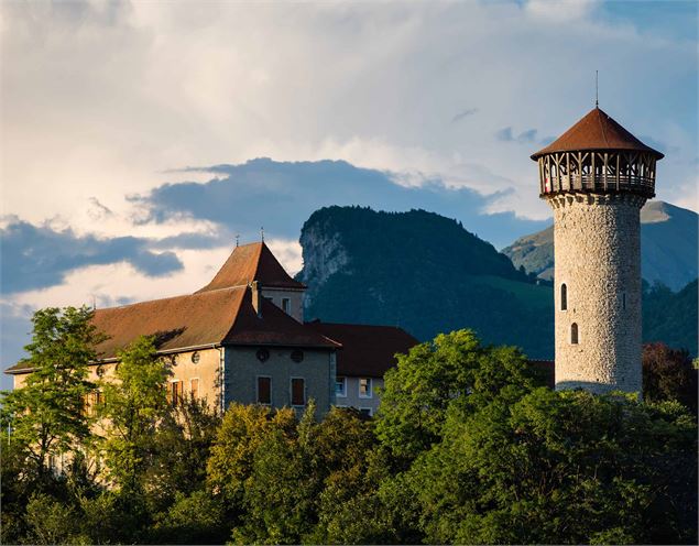 Château de Faverges vue d'ensemble