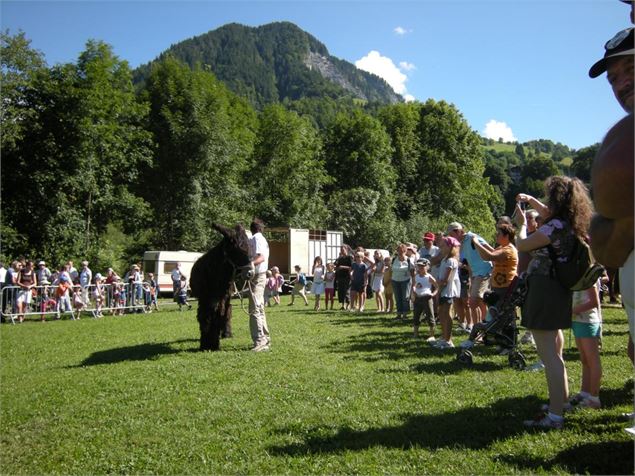 Fête de la race mulassière à Flumet - OTI Val d'Arly