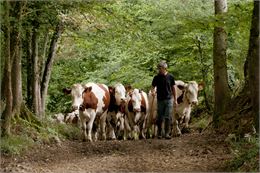 Ferme de Follon - Ferme de Follon