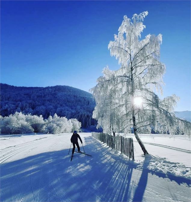 fondeur et paysage givré - Haute-Savoie Nordic