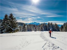 Ski de fond face au Mont Blanc à Praz de Lys Sommand - Gilles Piel