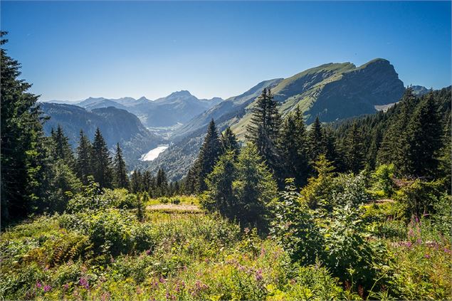 Vue sur le lac de Montriond depuis le col de Bassachaux - A. Berger / SIAC