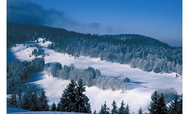 Les Hautes-Combes - Gilles Brevet - CDT Ain