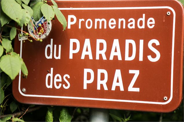 Balade Paradis des Praz - OT Vallée de Chamonix MB