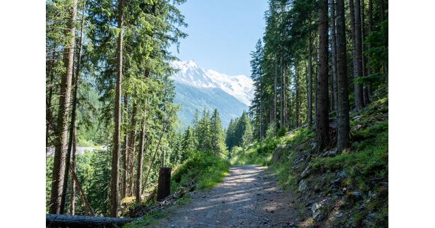 Petit Balcon sud :  Argentière- Les Tines_Argentière