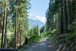 Petit Balcon sud :  Argentière- Les Tines_Argentière