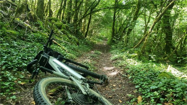 Circuit VTT n°7 (rouge) - Drom - Villeversure - scalland