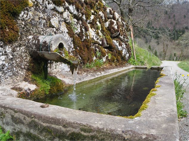 Tout au long de la balade les fontaines sont présentes - OT Coeur de Chartreuse