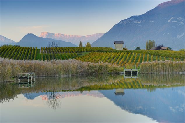 Lac St André et Vignobles du Granier - Savoie Mont Blanc - Lansard