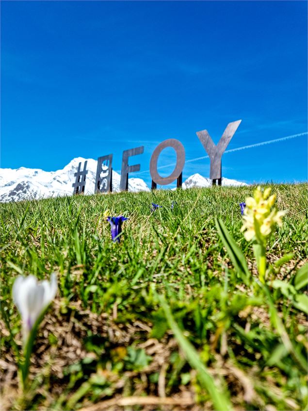 Circuit de randonnée : Plan Bois_Sainte-Foy-Tarentaise - Sainte Foy Tourisme