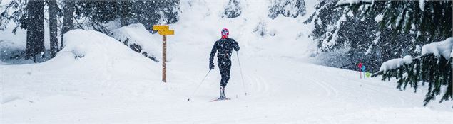 Ski de fond sous la neige - Peisey-Vallandry