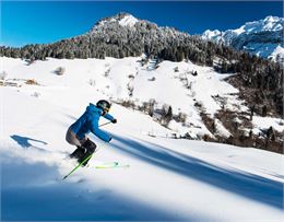 descente en ski sur poudreuse - T.Nalet/Ot Sources du lac Annecy