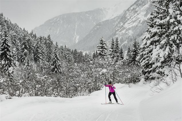 Skating sous les flocons sur le domaine nordique - Stef Candé