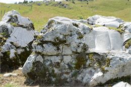 Symposium de sculpture_Plaine-Joux - Maison des Brasses