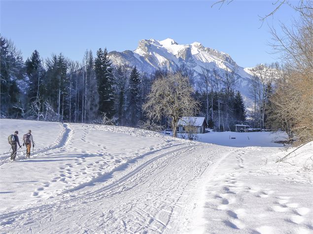Piste de ski de fond Val de Tamié - Numerica photo club