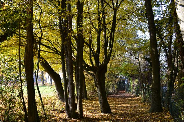 Départ de la balade- chemin des Vaudois - Ot Yvoire