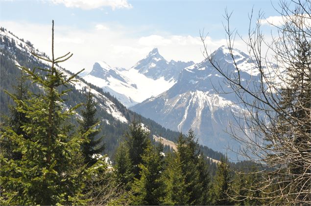 Pointe Percée et Pointe d'Areu - OT Les Carroz