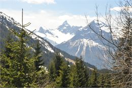 Pointe Percée et Pointe d'Areu - OT Les Carroz