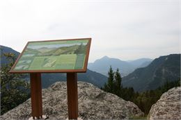 Point de vue du Mont Favy - OT Les Carroz