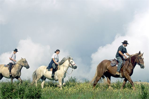 équitation - office de tourisme Valmorel