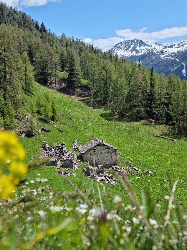 Circuit de randonnée : Nazonde_Sainte-Foy-Tarentaise - Sainte Foy Tourisme