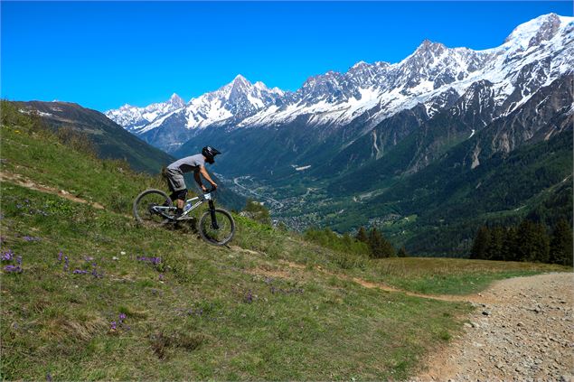 DH - VTT Descente Les Houches - OT Vallée de Chamonix -Célia-Margérard