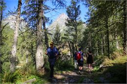 Le chemin des Diligences_Vallorcine