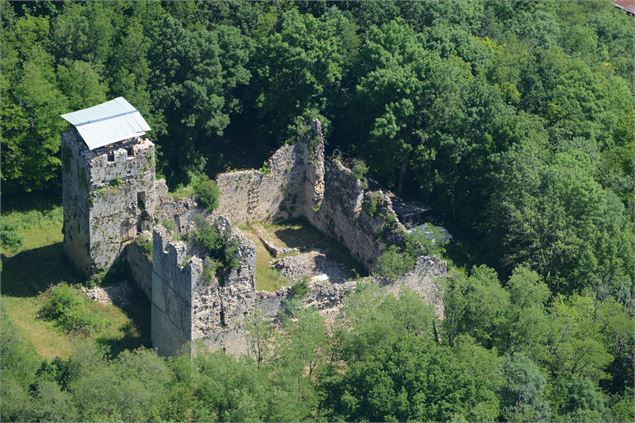 Château fort de Thol à Neuville-sur-Ain - JF Basset