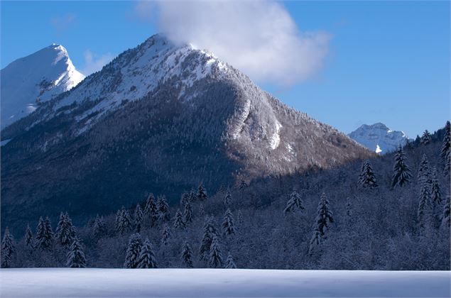 Vue sur les Rochers de la Bade et le Colombier - Laurent Madelon