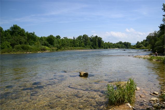 Basse Vallée de l'Ain - JF BASSET