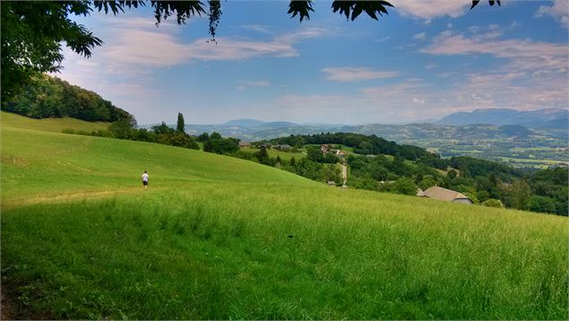 20. Sentier les Hautes d'Albens 2 - Office de Tourisme du Pays d'Albens