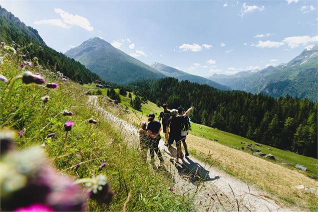 Circuit randonnée : le Monal depuis l'Échaillon_Sainte-Foy-Tarentaise - David André
