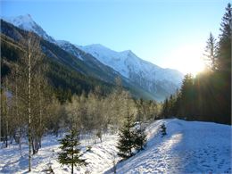 Sentier des Bois