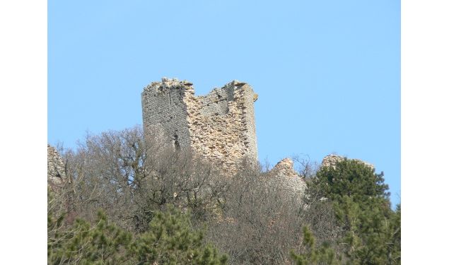 Ruines Château de Jasseron - Crédit_C.THieux