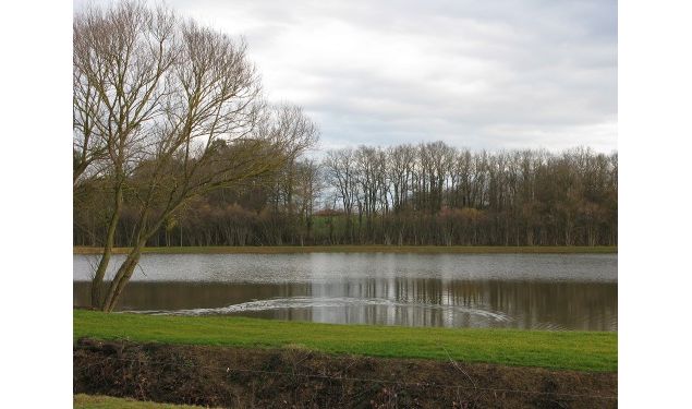 Etang de Bavey_St Denis les Bg - Crédit_C.THieux