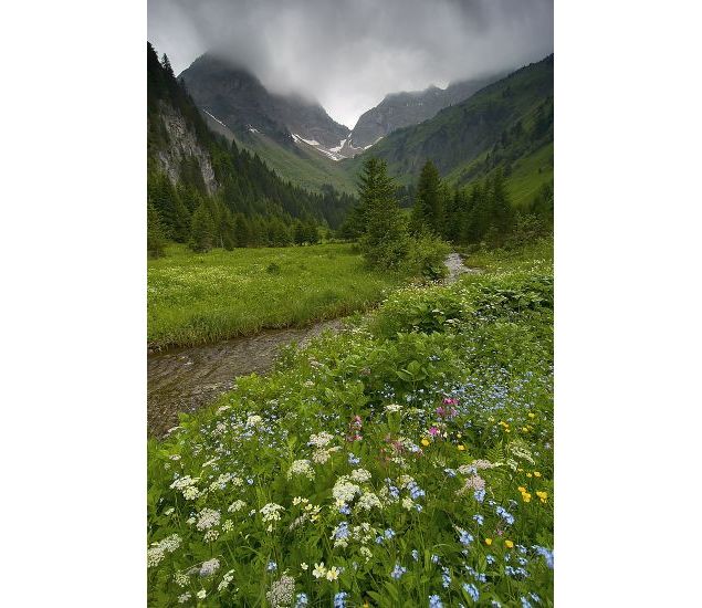 Alpage de Bise - Chablais - Antoine Berger