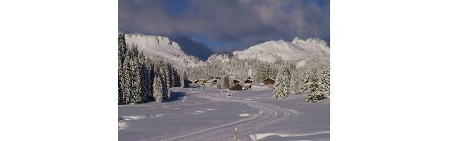 pistes piétonnes