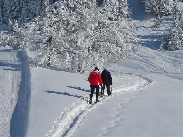 Itinéraires piétons sur neige